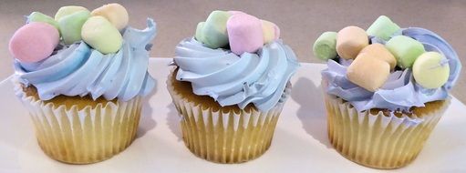 mini cupcakes with blue cream