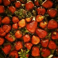 delicious red strawberries