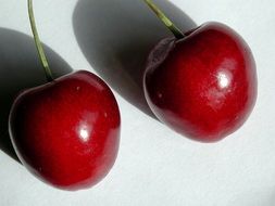 two cherries on a white background