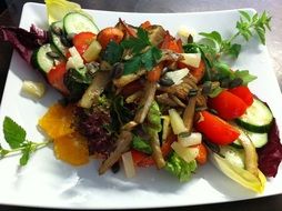 Summer salad on a white plate