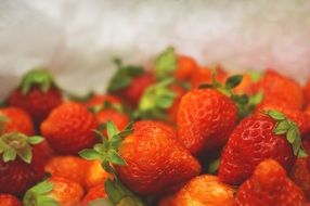 fresh ripe strawberries close up