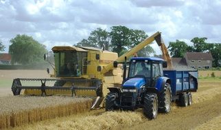 Picture of tractors on a field
