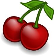 drawn fresh cherries