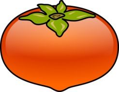 red glossy tomato, illustration
