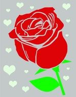 red rose and hearts at grey background, greeting card