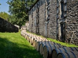 line of wooden wine barrels