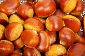 brown chestnuts in a bowl