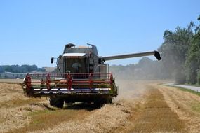 combine harvester bower on the field