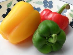 color peppers vegetables