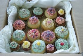 colorful cupcakes in a box
