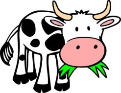 cow eating drawing