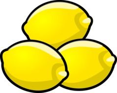 bright yellow lemons vector drawing