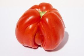 tomato on white background