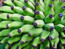 healthy green banana