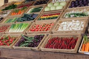 fresh colorful vegetables in showcase on market