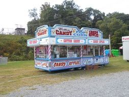 cake " Anthill" on the carnival