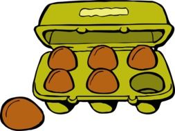 Carton box with eggs in it