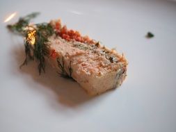 salmon terrine for gourmet