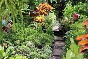 Colorful garden in Philippines