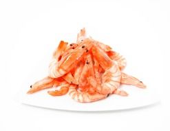 boiled shrimps on a white plate