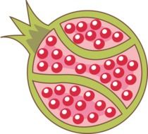 drawing of cut pomegranate with seeds