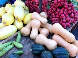 Vegetables in the farmers market