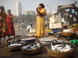 Fish auction on the quay