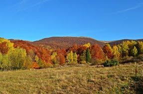 landscape of red mountains, bieszczady, poland