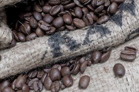 grains for coffee drink