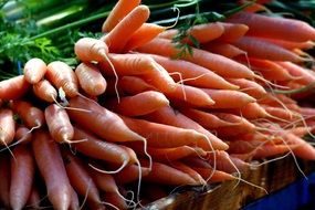 A lot of the carrots in the market