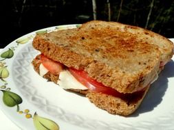 delicious toast with cheese and tomatoes