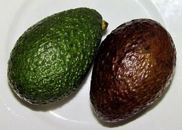two avocados on white plate