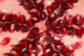 fresh pomegranate punica granatum fruit