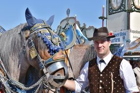 horses at oktoberfest in munich