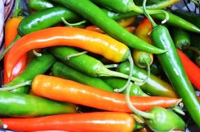shiny colorful chili peppers close up