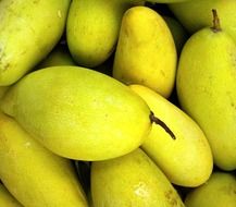 sweet fresh mango fruits