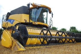 Combine harvester on the field