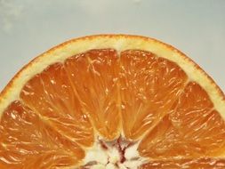 SLice of the orange