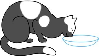 graphic image of a gray cat with a saucer
