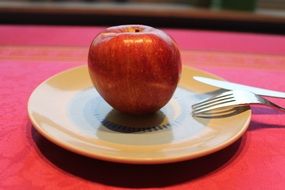 apple fruit on a plate