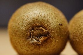 photo of green kiwi