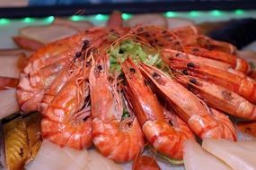shrimp starter