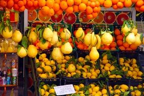 Citruses in the market