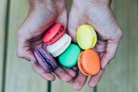 colourful macaroon dessert sweets in hands