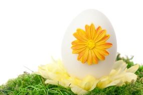white and yellow color decorative eggs for easter celebration