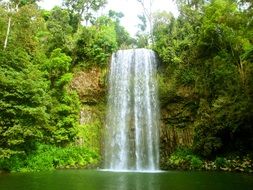 waterfall on a rock among green trees