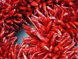 dried chilli on the table