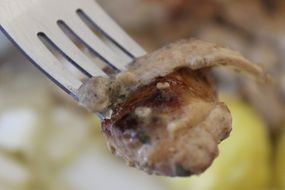 turkey meat on a fork