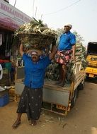 pineapple sellers in Mumbai market