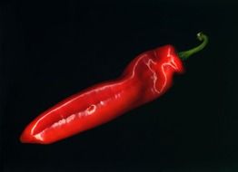 Red pepper clipart